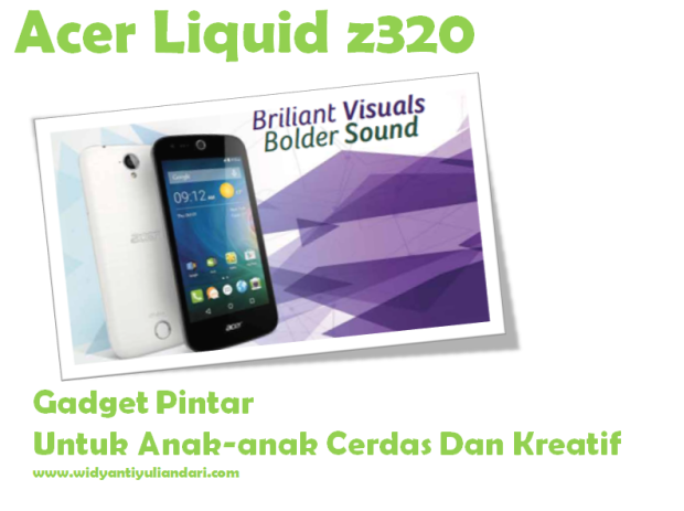 1_Acer Liquid Z320